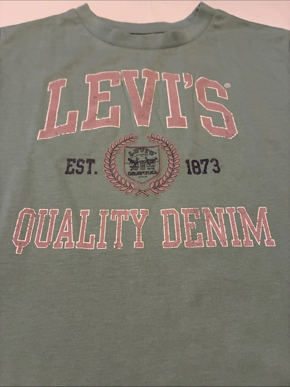 Levi's Kids Sage Green 'Quality Denim' Graphic Tee - Picture 2 of 5